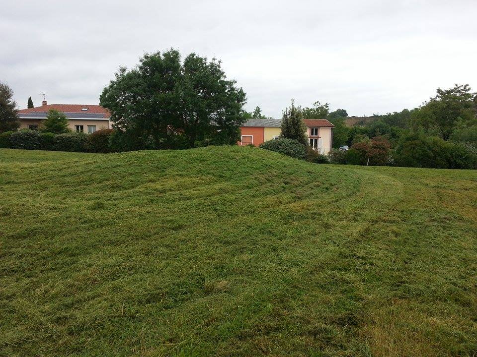 Terrain après entretien avec herbes tondues et végétation maîtrisée