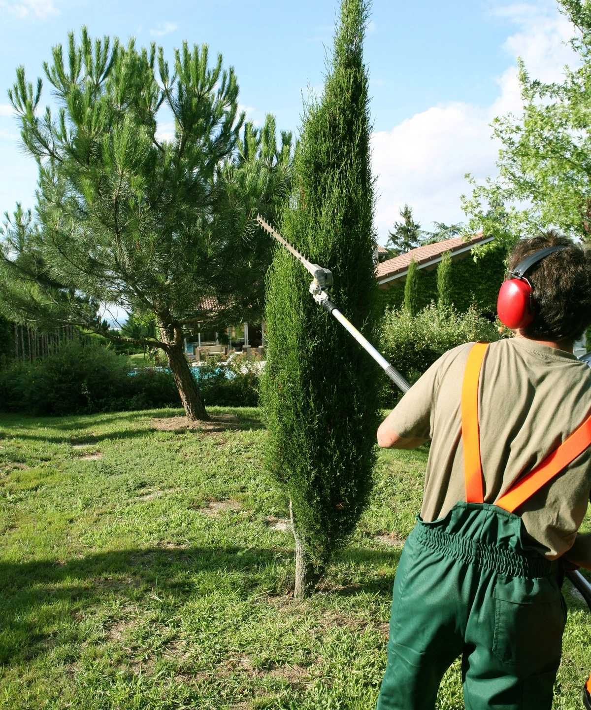 Paysagiste taillant un arbre avec un taille-haie, portant des équipements de sécurité, dans un jardin bien entretenu