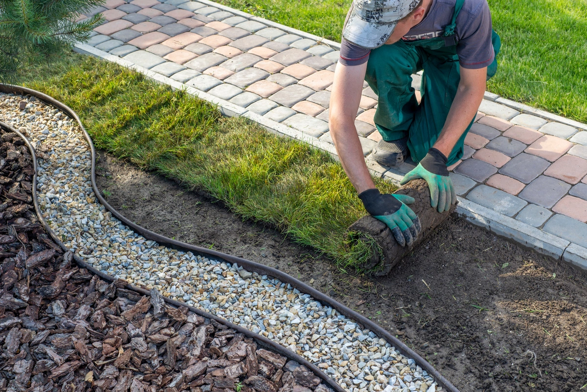 Paysagiste installant du gazon en rouleau le long d'une allée pavée et d'une bordure de jardin.